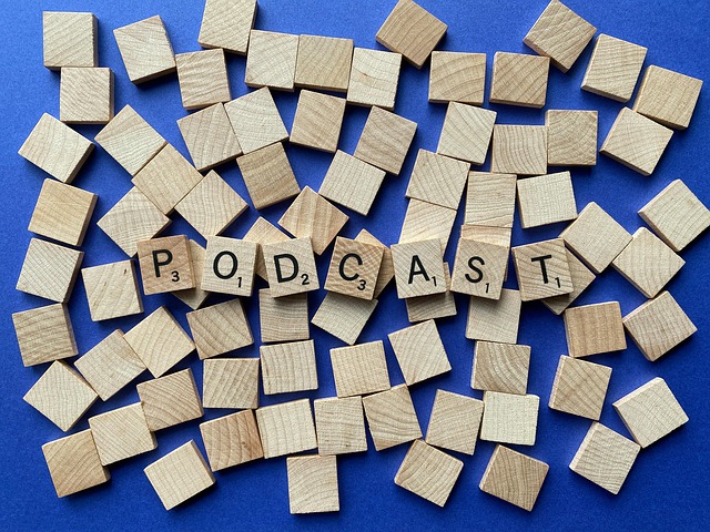 SEO podcasts for begyndere og øvede